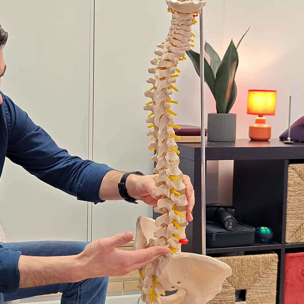 Colonne vertebrale chiropraxie